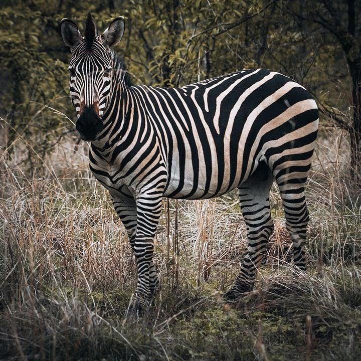 Tour Destination Image